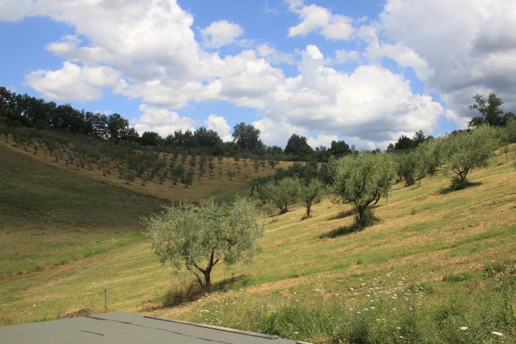 Agriturismo Le Buche Di Viesca Reggello Exterior photo